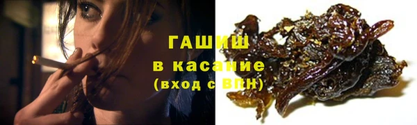 сатива Балахна