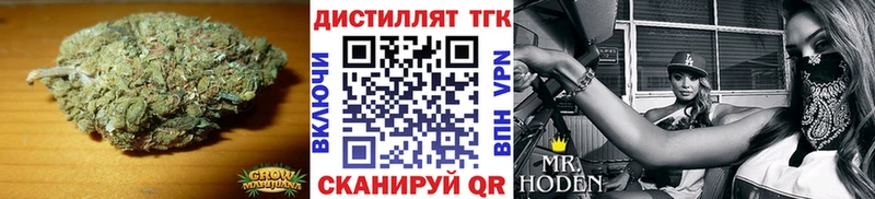 MEGA ссылки  Эртиль  ТГК гашишное масло  закладки 