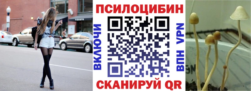 где найти наркотики Эртиль мега tor Псилоцибиновые грибы Cubensis